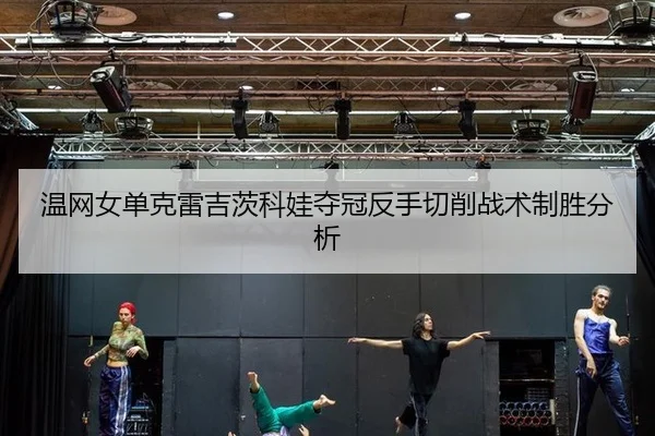 wen-wang-nv-dan-ke-lei-ji-ci-ke-wa-duo-guan-fan-shou-qie-xiao-zhan-shu-zhi-sheng-fen-xi-3-677.jpg